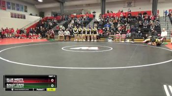 115 lbs Quarterfinal - Bailey Davis, Benton Community vs Ellie Weets, Vinton-Shellsburg