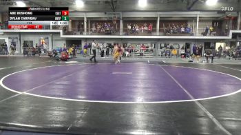 174 lbs Round 1 (4 Team) - Dylan Cariveau, Wisconsin-Stevens Point vs Abe Bushong, Central