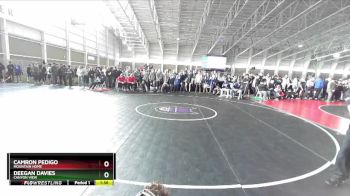 165 lbs Champ. Round 1 - Camron Pedigo, Mountain Home vs Deegan Davies, Canyon View