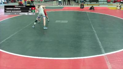133 lbs Cons. Semi - Ashton Gamboa, Quincy vs Gavin Alexander, Central Methodist