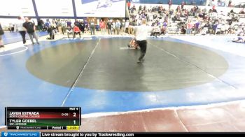 149 lbs Quarterfinal - Tyler Goebel, UW-LaCrosse vs Javen Estrada, North Central College