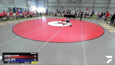 132 lbs Round 3 (8 Team) - Cayden Pluhar, Ohio Gray vs Jacob Herm, Wisconsin Red