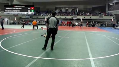 115 lbs Quarterfinals (8 Team) - Tyson Halverson, Dassel-Cokato-Litchfield vs Cameron Anderson, Wabasso