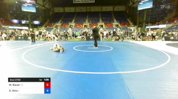 94 lbs Cons 16 #2 - Mason Bauer, Ohio vs Allen Woo, Illinois