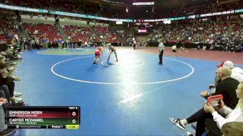 D3-165 lbs Quarterfinal - Carter McDaniel, Weyauwega-Fremont vs Emmerson Moen, Iowa-Grant/Highland