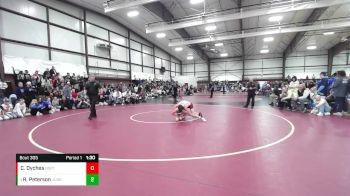 126 lbs 3rd Place Match - Rowdey Peterson, Juab vs Cody Dyches, North Sanpete
