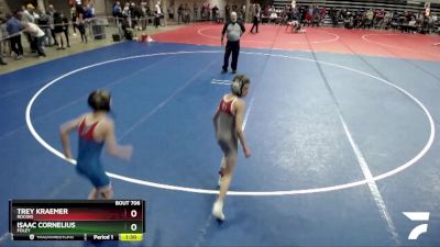 80 lbs Semifinal - Trey Kraemer, Rocori vs Isaac Cornelius, Foley