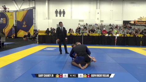 Joseph Vincent Freeland vs Gary Chaney Jr 2024 World IBJJF Jiu-Jitsu No-Gi Championship