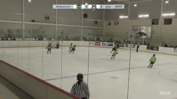 Replay: Home - 2024 Mission U10 vs York Simcoe U10 | Nov 29 @ 5 PM