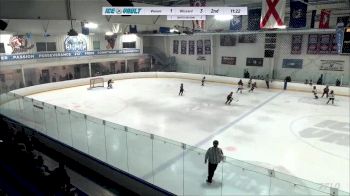 Replay: Home - 2024 Venom U8 vs Blizzard Mite | Feb 18 @ 1 PM