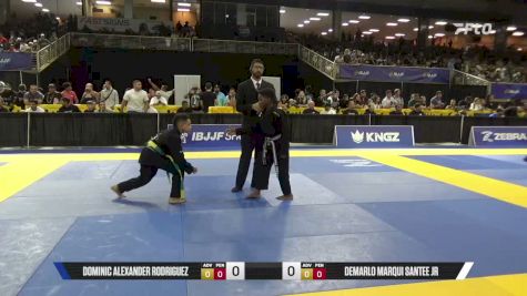 Demarlo Marqui Santee Jr vs Dominic Alexander Rodriguez 2026 Pan Kids Jiu-Jitsu IBJJF Championship
