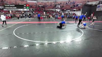 100 lbs 3rd Place Match - Vance Williams, Pulaski Wrestling Club vs Blake Briese, Amery Youth Wrestling