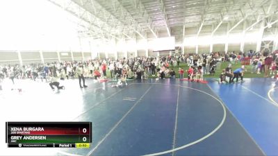 45 lbs Cons. Round 6 - Grey Andersen, JWC vs Xena Burgara, 208 Spartans