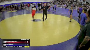 113 lbs 2nd Place Match - Alejandro Vargas, COWA vs Aiden Nelmes, COWA