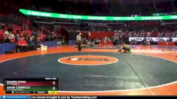 3 lbs Cons. Round 1 - Damien Puma, Mt. Prospect vs Gavin Connolly, St. Charles (East)