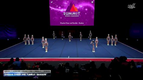 Cheaha Cheer and Tumble - Shadow [2026 L1 Junior - Flex - D2 - Small Semis] 2026 The D2 Summit