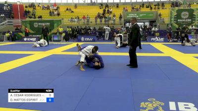 AUGUSTO CESAR RODRIGUES RESENDE vs DANIEL MATTOS ESPIRITO SANTO 2024 Brasileiro Jiu-Jitsu IBJJF