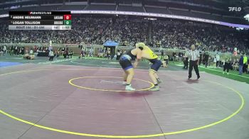D1-285 lbs Champ. Round 1 - Logan Tollison, Grand Ledge HS vs Andre Neumann, White Lake Lakeland