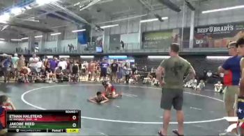90 lbs Round 1 (10 Team) - Ethan Halstead, NC National Team vs Jakobe Reed, SVRWC Black