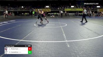 133 lbs Quarterfinal - Logan Robertson, Liberty vs Cody Castelline, Grand Valley State