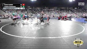 B4A-132 lbs Champ. Round 1 - David Farmer, Ft. Gibson vs Joseph Rodriguez, Plainview