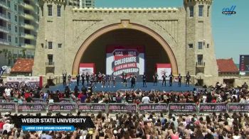 Weber State University - Advanced Large Coed Division I [2025 Large Coed Grand Champion] 2025 NCA & NDA College Nationals