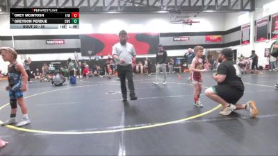 50 lbs Cons. Round 1 - Greyson Perdue, Cobra Wrestling Club vs Grey McIntosh, Ninety Six Wildcats