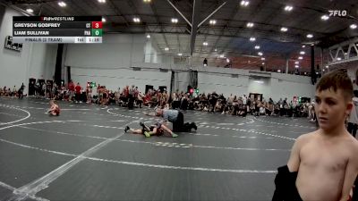 48 lbs Finals (2 Team) - Greyson Godfrey, Cordoba Trained vs Liam Sullivan, PA Alliance