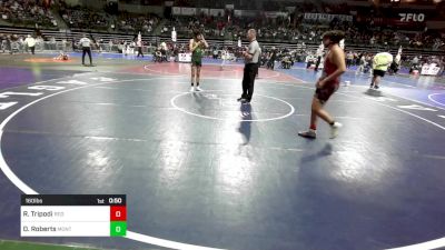 160 lbs Round Of 16 - Rocco Tripodi, Red Nose vs Devin Roberts, Montgomery