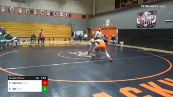 132 lbs Quarterfinal - Dominic Caldwell, Susquenita vs Adam Rea, West Perry