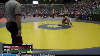 6A - 145 lbs Champ. Round 1 - Michael Solomon, Blue Valley vs Anthony Petrusky, Junction City