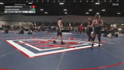 126 lbs Quarterfinal - Dominick Morrison, PA vs Hayden Schwab, IA