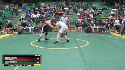 215 lbs Quarterfinal - Ben Sawaya, Perrysburg vs Cass Chiesa, Delta