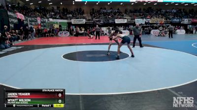 119 lbs 5th Place Match - Jaden Yeager, Soldotna vs Wyatt Wilson, Palmer High School