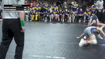 113 lbs Consolation Wb - Brodie Johnsen, Logan-Magnolia vs Nathan Benedix, Woodbury Central