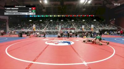 4A-165 lbs Champ. Round 1 - Andy Weipert, Green River vs Ethan Hague, Kelly Walsh