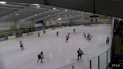 Replay: Home - 2024 Adrian College vs CMU | Feb 24 @ 2 PM