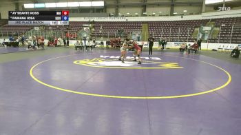 180 lbs 3rd Place Match - Fabiana Josa, New Jersey City University vs Ay`Seante Ross, Norwich
