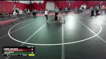 125 lbs Quarterfinal - Jared LaPlante, Pewaukee Youth Wrestling Club vs Liam Busch, Wisconsin