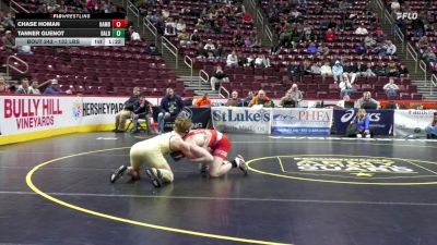 133 lbs Quarterfinal - Chase Homan, Hamburg vs Tanner Guenot, Bald Eagle Area