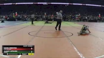 D2-112 lbs Champ. Round 1 - Kaden Lapaugh, DeWitt vs Gavin Drenten, Zeeland East