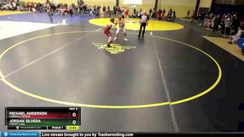 220 lbs Cons. Round 2 - Michael Anderson, Lakeville North vs Jordan Silvera, Forest Lake