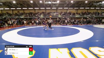 132 lbs Consi Of 8 #2 - Meili Shao, La Salle Academy vs Darling Feliz, Classical