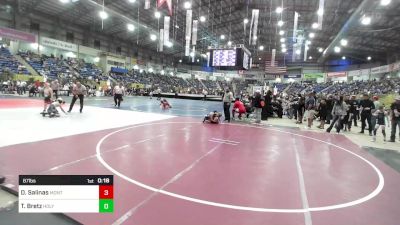 87 lbs 5th Place - David Salinas, Montrose Elite vs Timmy Bretz, Holyoke