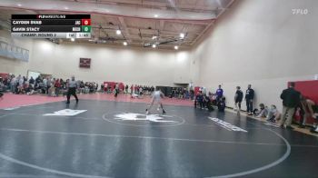 150 lbs Champ. Round 2 - Gavin Stacy, Mechanicsburg vs Cayden Svab, Jackson