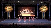 CER Wildcats - Day 1 [2024 Youth Leopards Level 1 NA 10 & Under Youth Leopards] 2024 Winner's Choice Championships - Mohegan Sun