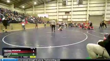 138 lbs Cons. Semi - Cooper Robins, Syracuse vs Nathan Prokopiw, Spanish Fork