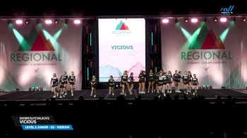 Encore Elite Wildcatz - Vicious [2025 L2 Junior - D2 - Medium Day 2] 2025 The Northeast Regional Summit