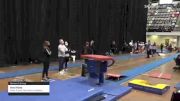 Ava Hicks - Women's Group, Swiss Turners Gymnastics Academy - 2021 Women's Xcel Region 4 Championships