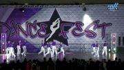 Ultimate Dance & Cheer - Ice Hip Hop [2024 Youth - Hip Hop - Large Day 1] 2024 DanceFest Grand Nationals